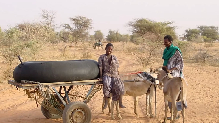 Sahel : Améliorer les conditions de vie des communautés pastorales 